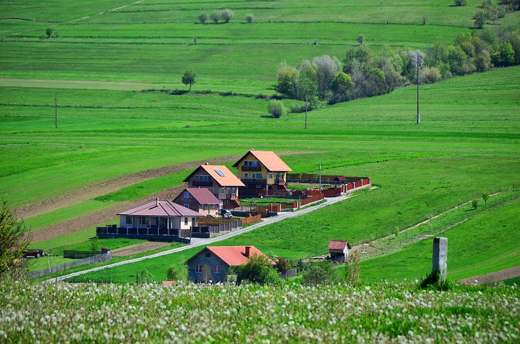 egy harmadik lehetőség)